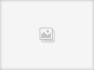 premade image 800x600 - premade_image_800x600