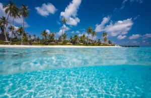 Malediven Hotel Fushifaru Underwater - Malediven-Hotel-Fushifaru-Underwater.webp