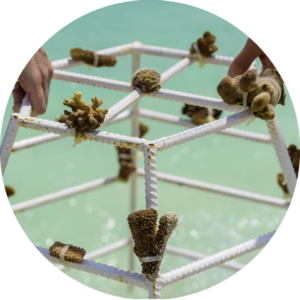 b2b teaser6.960x0 - b2b_teaser6.960x0