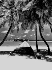 blog teaser 1.1280x0 1 - blog_teaser_1.1280x0