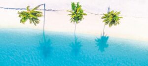 header award.960x0 - header_award.960x0