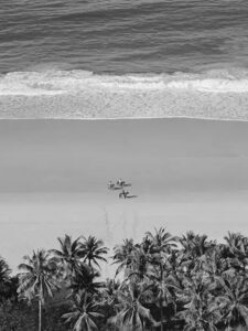 horseBushBeach - horseBushBeach